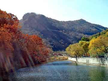 澳门天天开奖免费资料，早餐第一步价格